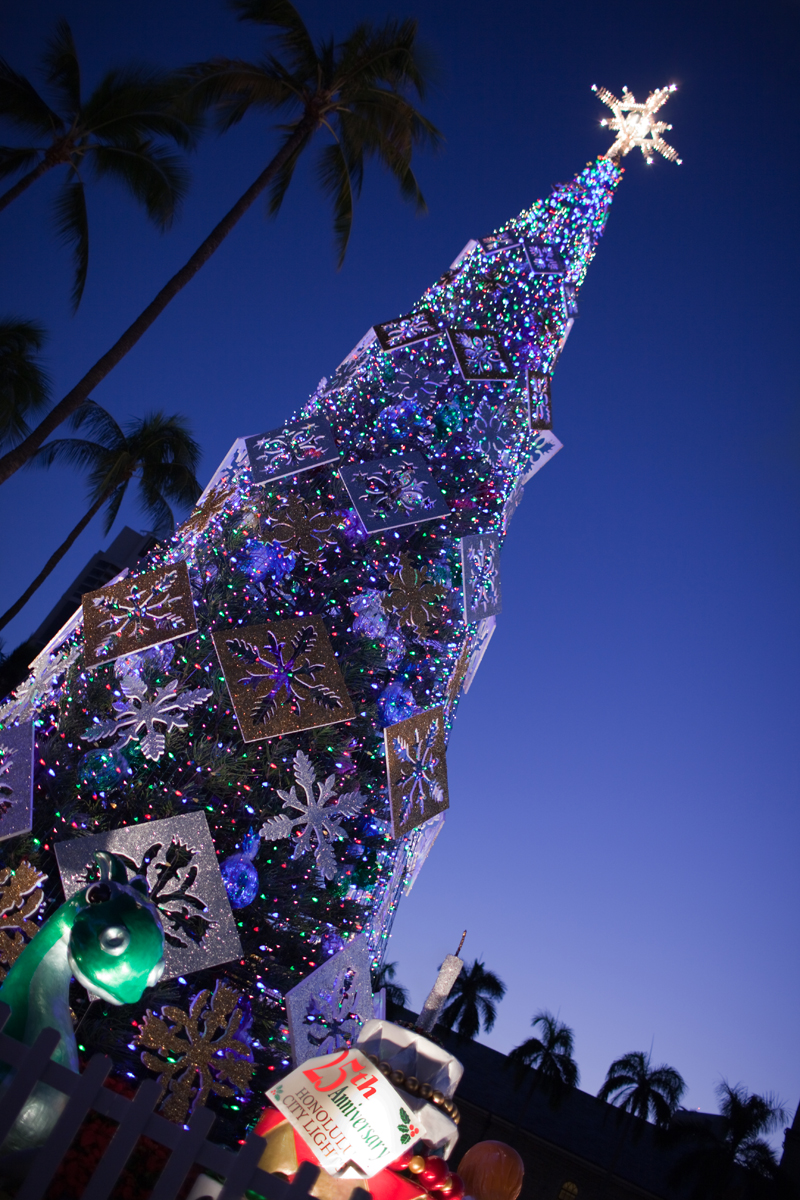 Illustration for article titled Photo Contest: Christmas Lights